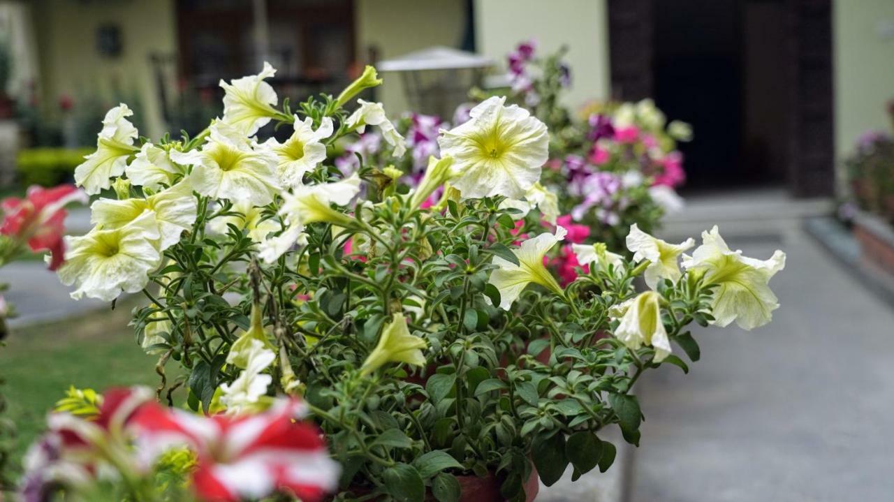 Kathmandu Garden Home Bagian luar foto